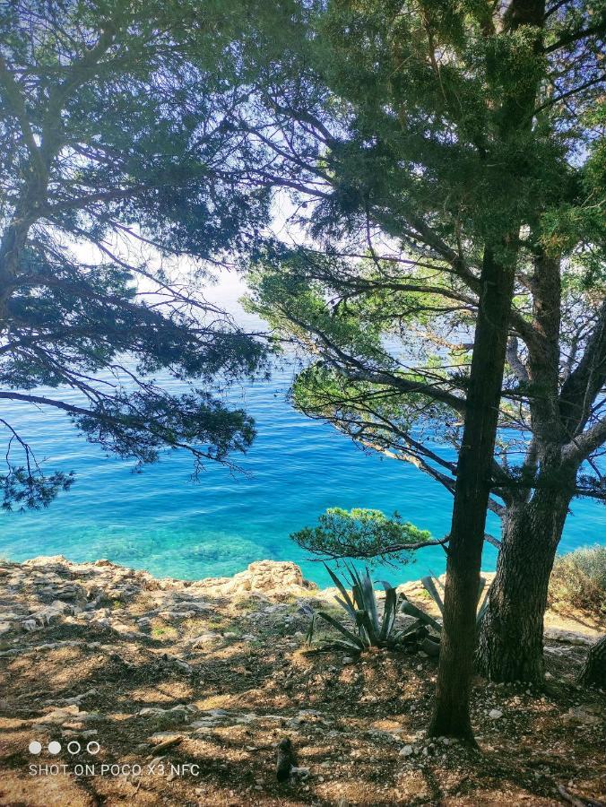 Villa Radic Makarska Zewnętrze zdjęcie